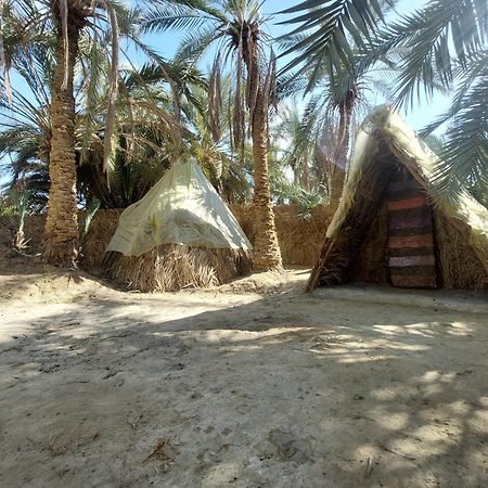 Forest Camp Siwa - كامب الغابة Siwa Oasis Exterior foto