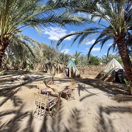 Forest Camp Siwa - كامب الغابة Siwa Oasis Exterior foto