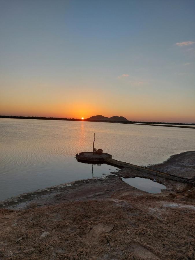 Forest Camp Siwa - كامب الغابة Siwa Oasis Exterior foto