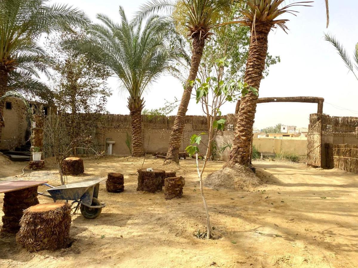 Forest Camp Siwa - كامب الغابة Siwa Oasis Exterior foto