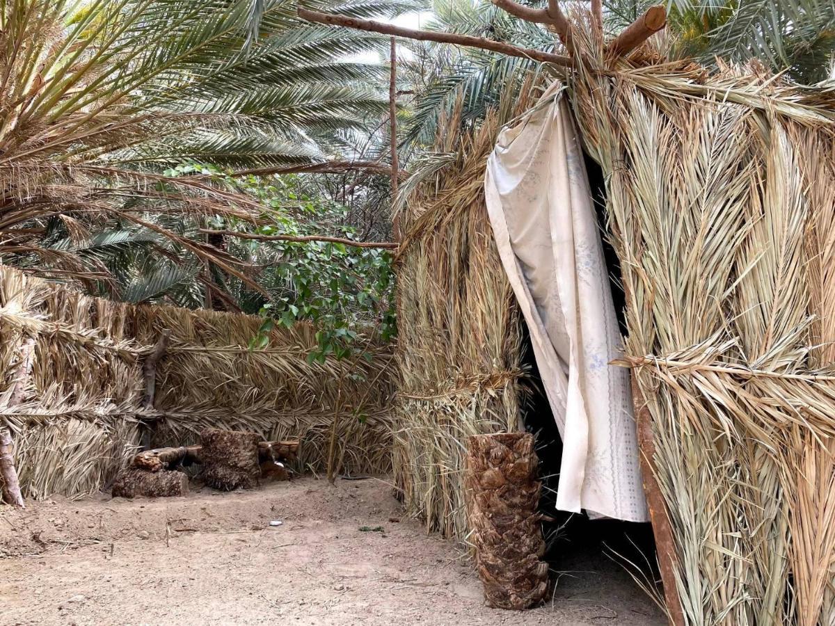 Forest Camp Siwa - كامب الغابة Siwa Oasis Exterior foto