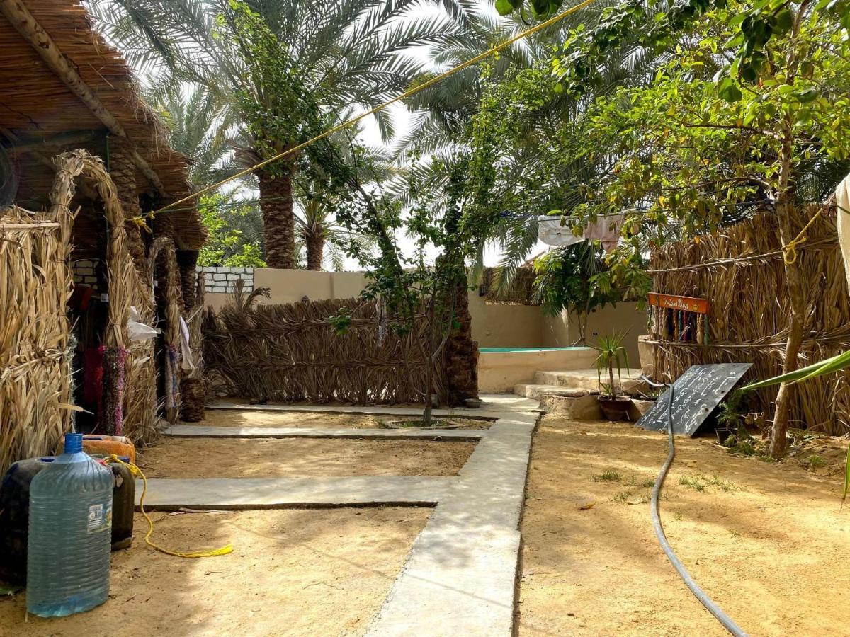 Forest Camp Siwa - كامب الغابة Siwa Oasis Exterior foto