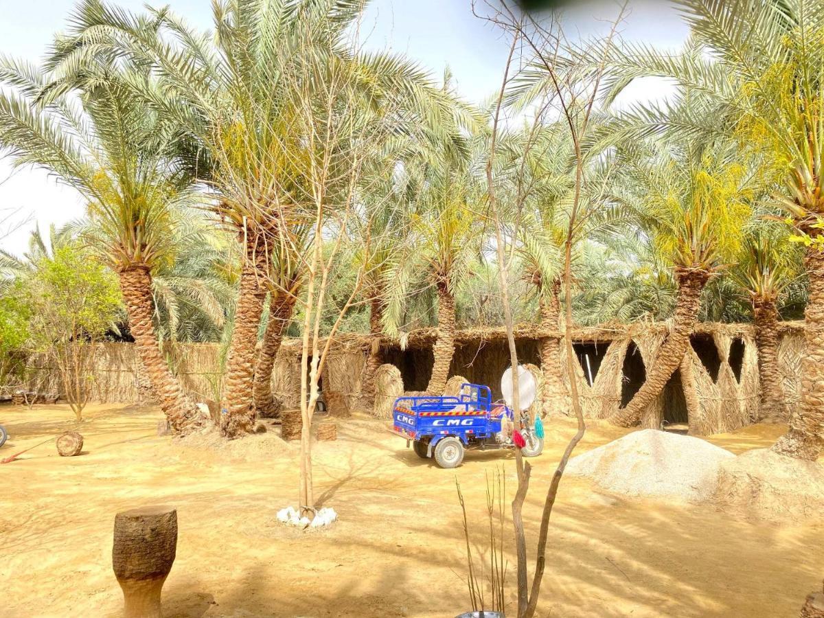 Forest Camp Siwa - كامب الغابة Siwa Oasis Exterior foto