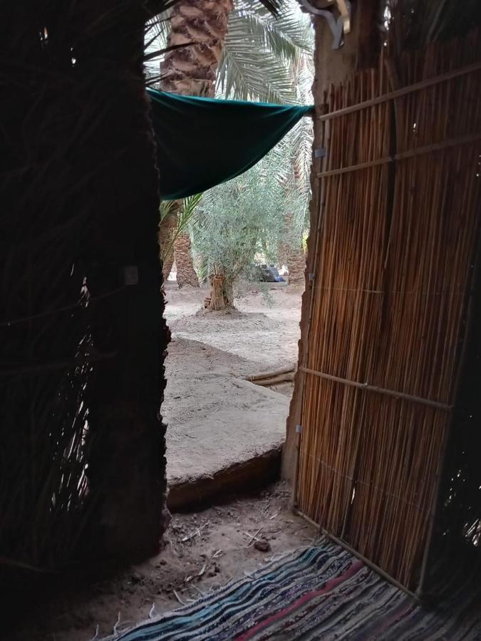 Forest Camp Siwa - كامب الغابة Siwa Oasis Exterior foto