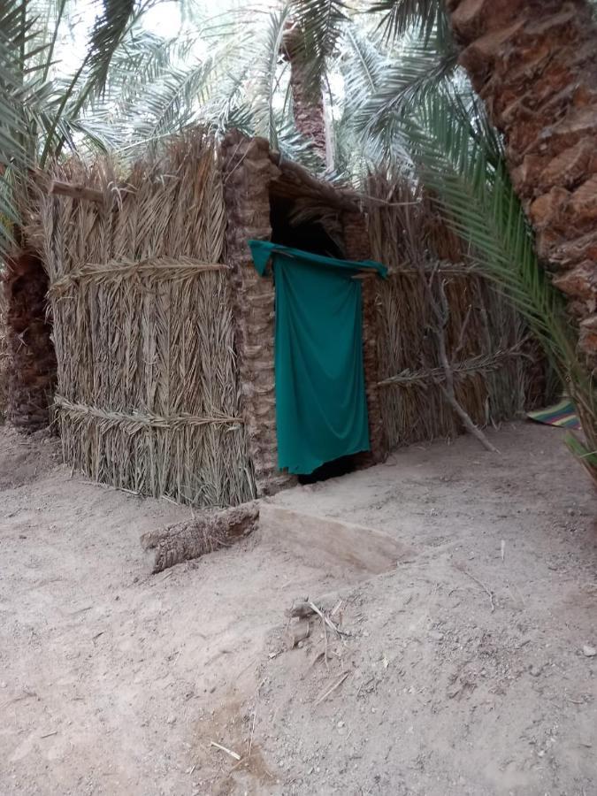 Forest Camp Siwa - كامب الغابة Siwa Oasis Exterior foto