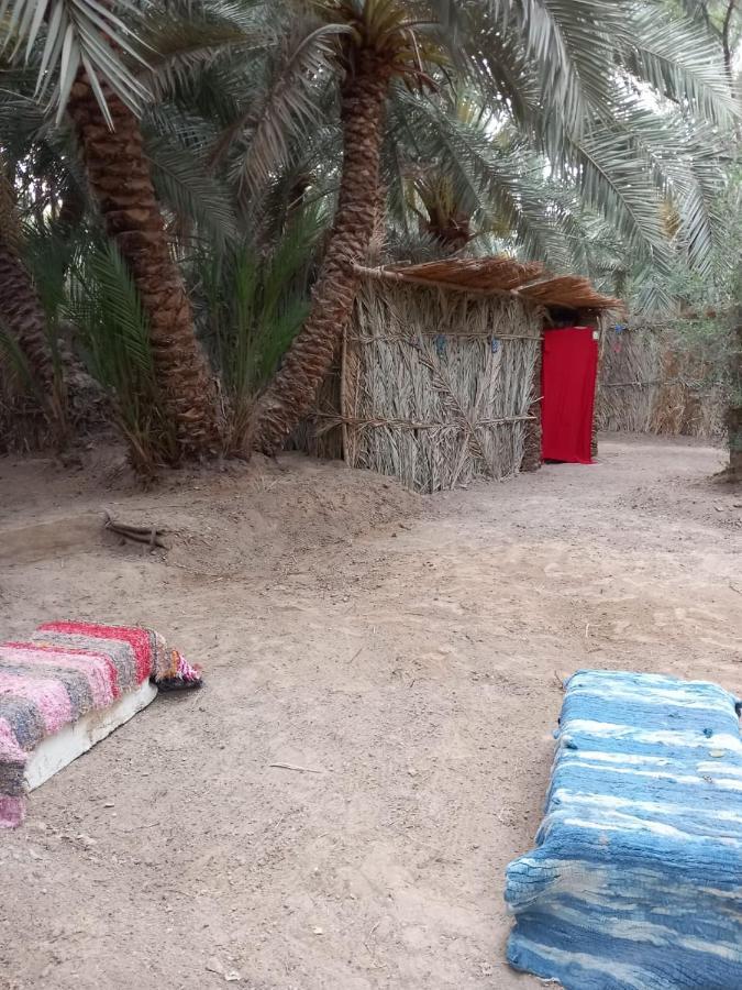 Forest Camp Siwa - كامب الغابة Siwa Oasis Exterior foto