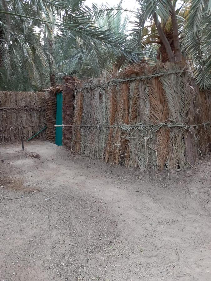 Forest Camp Siwa - كامب الغابة Siwa Oasis Exterior foto