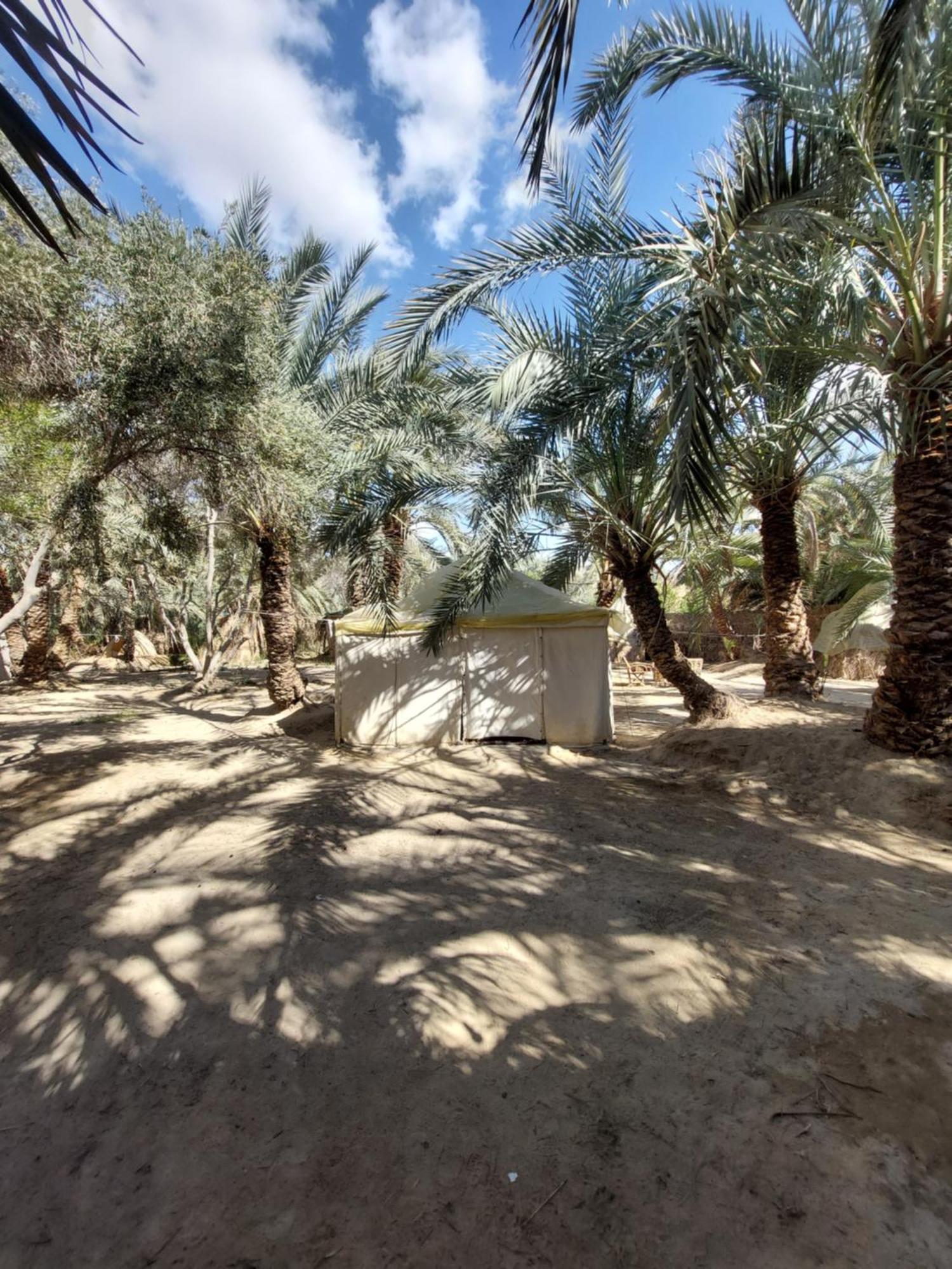 Forest Camp Siwa - كامب الغابة Siwa Oasis Exterior foto