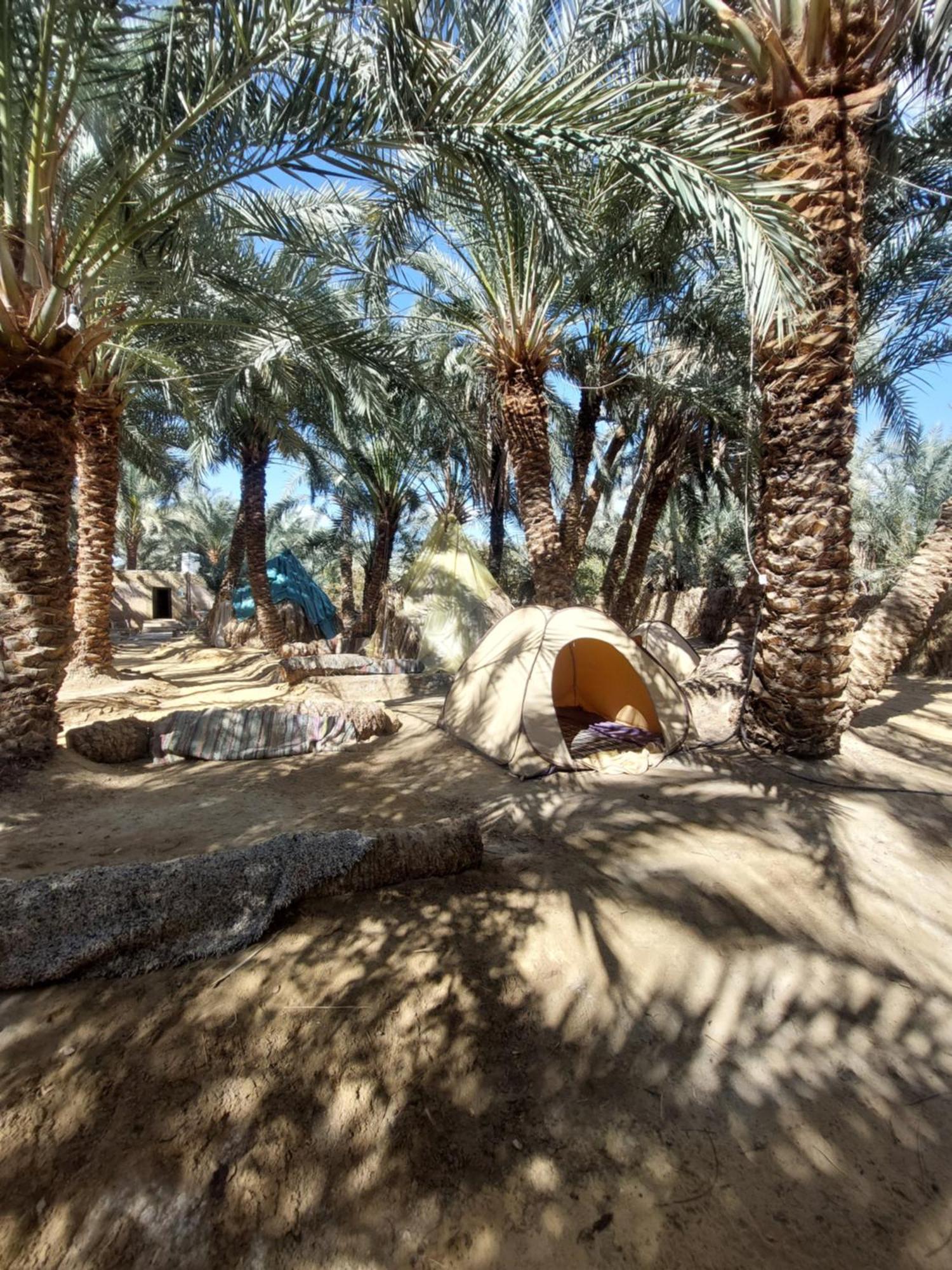 Forest Camp Siwa - كامب الغابة Siwa Oasis Exterior foto