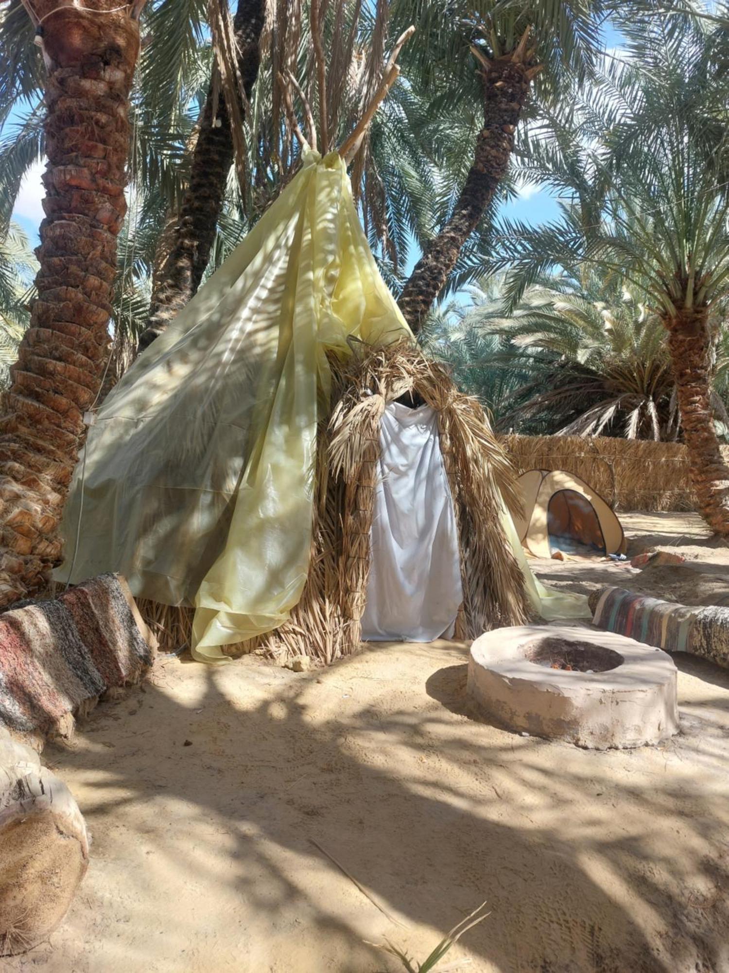 Forest Camp Siwa - كامب الغابة Siwa Oasis Exterior foto