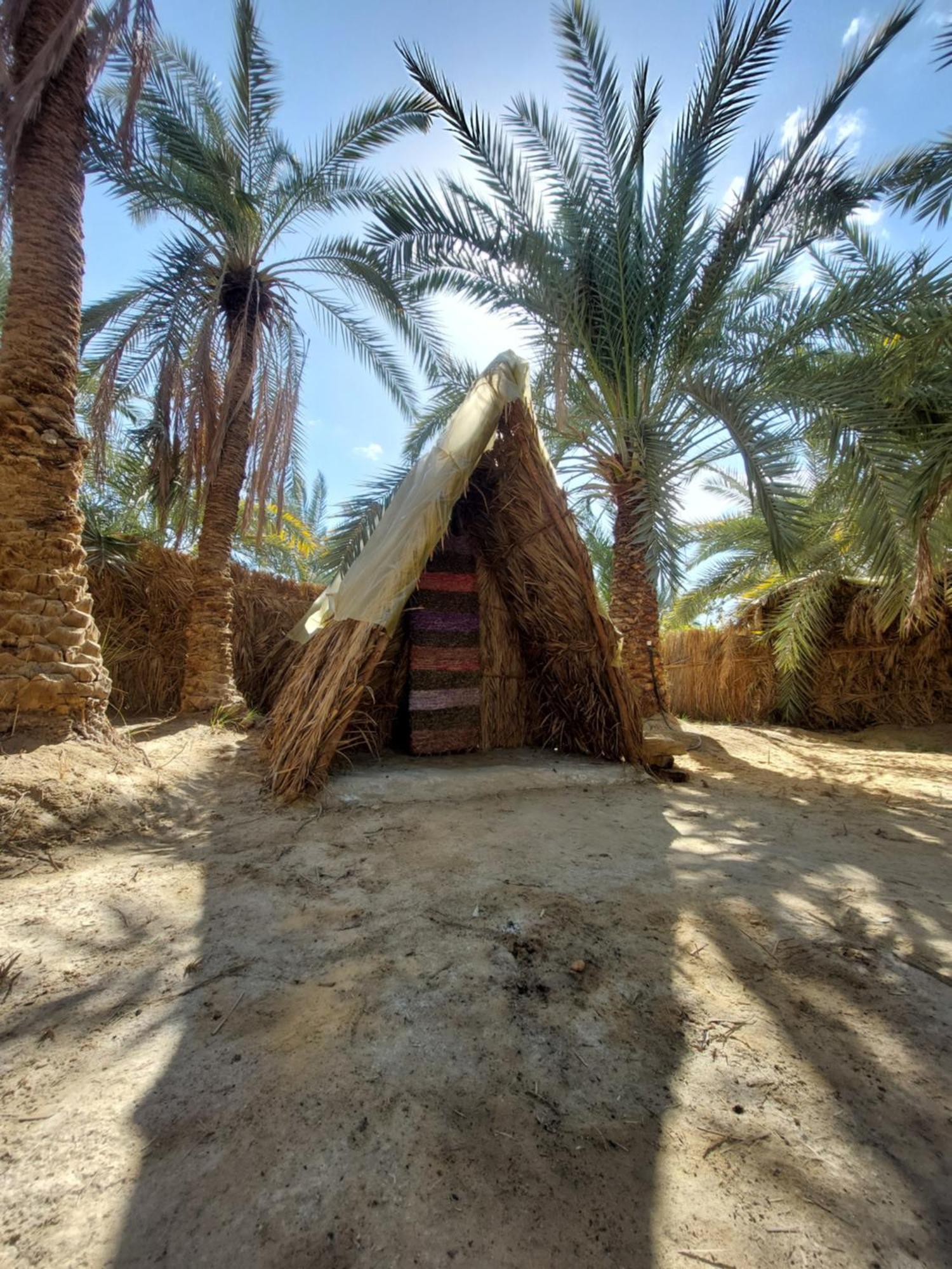 Forest Camp Siwa - كامب الغابة Siwa Oasis Exterior foto