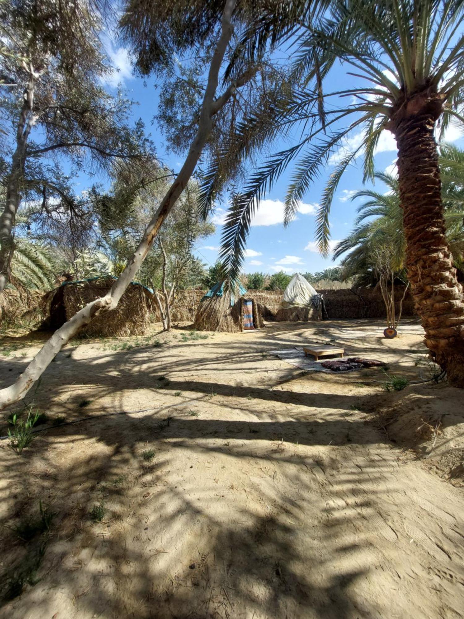 Forest Camp Siwa - كامب الغابة Siwa Oasis Exterior foto