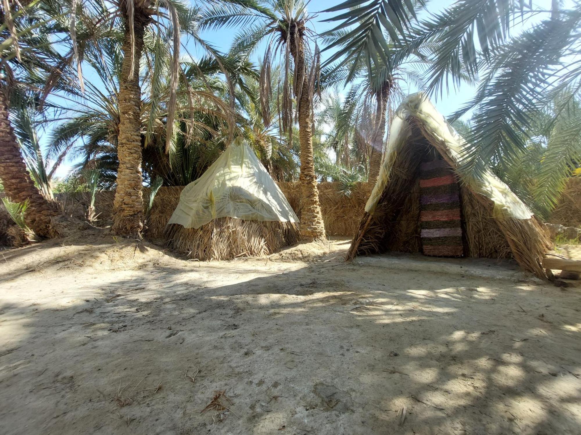 Forest Camp Siwa - كامب الغابة Siwa Oasis Exterior foto