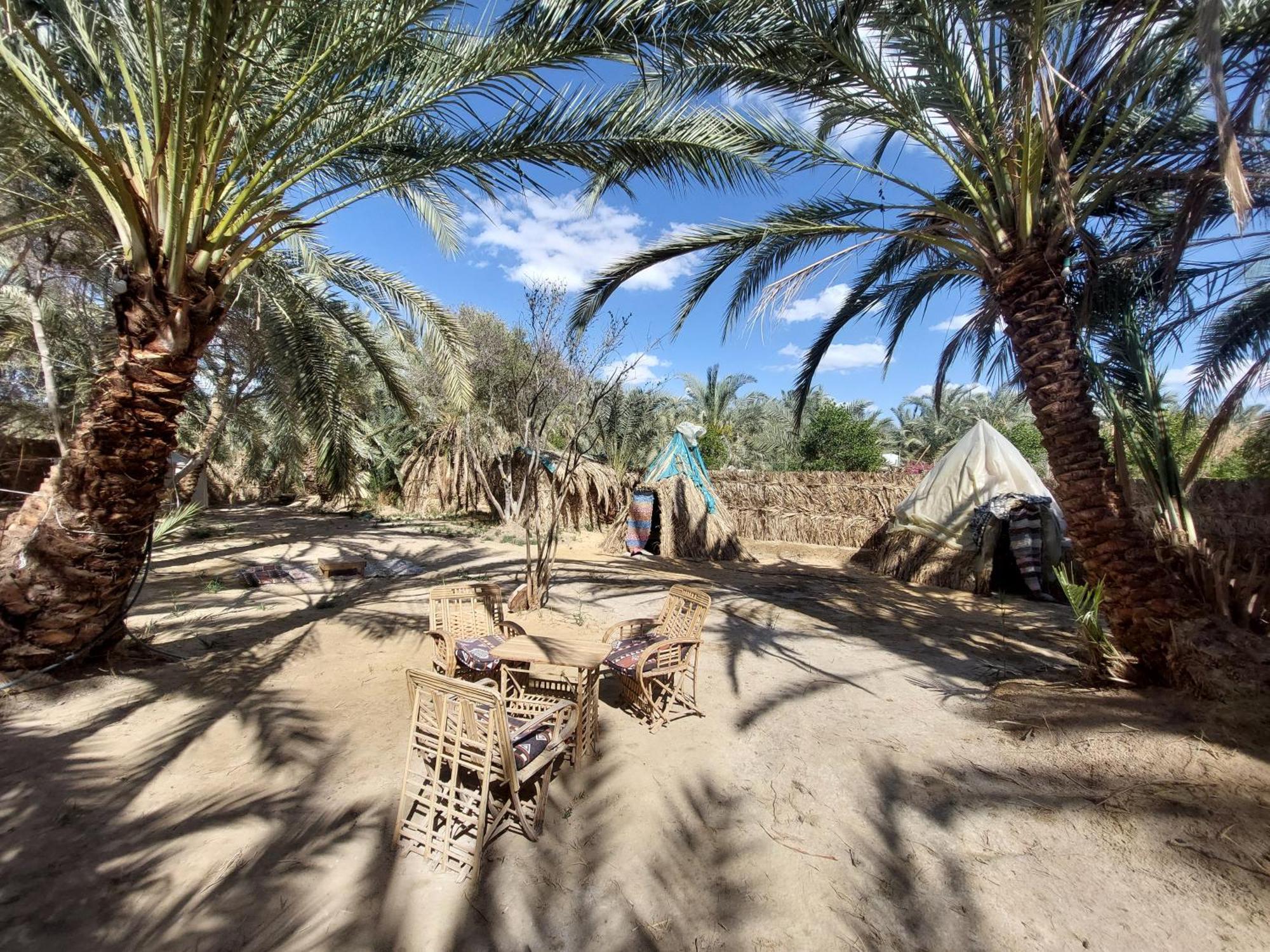 Forest Camp Siwa - كامب الغابة Siwa Oasis Exterior foto