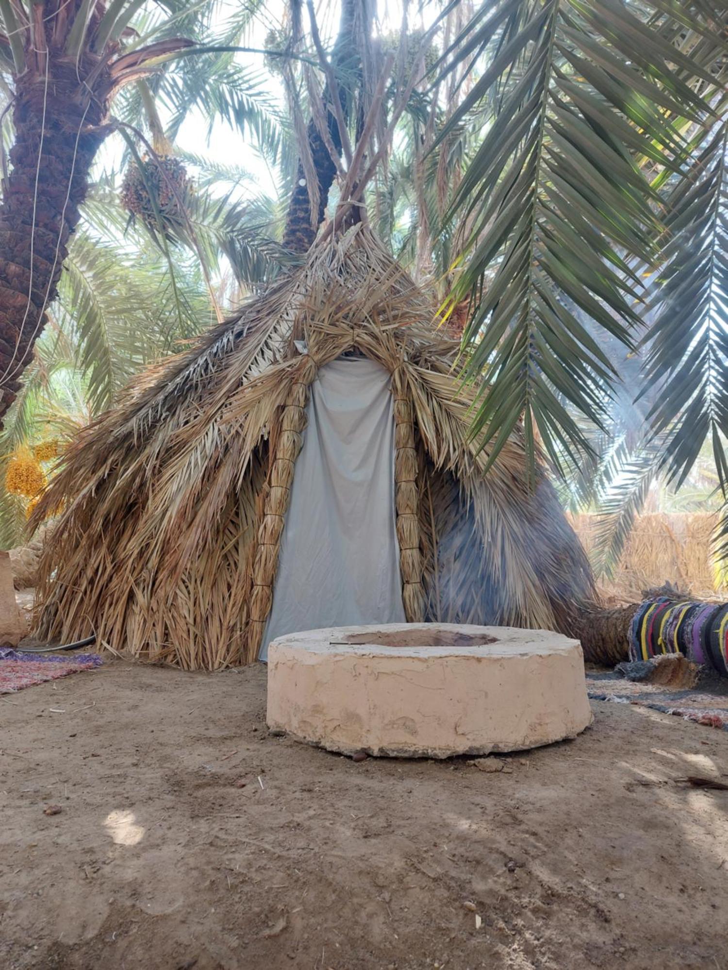 Forest Camp Siwa - كامب الغابة Siwa Oasis Exterior foto