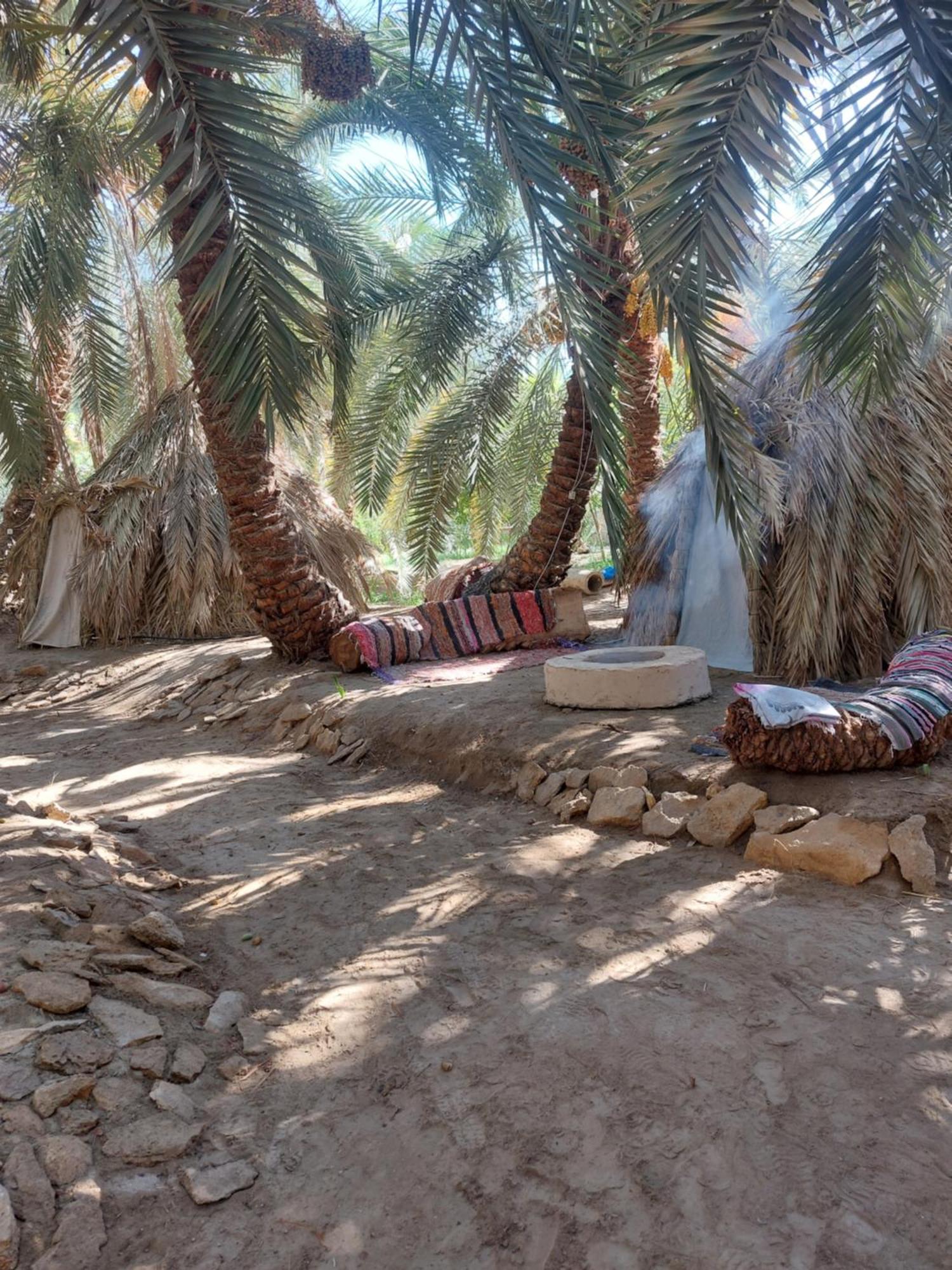 Forest Camp Siwa - كامب الغابة Siwa Oasis Exterior foto