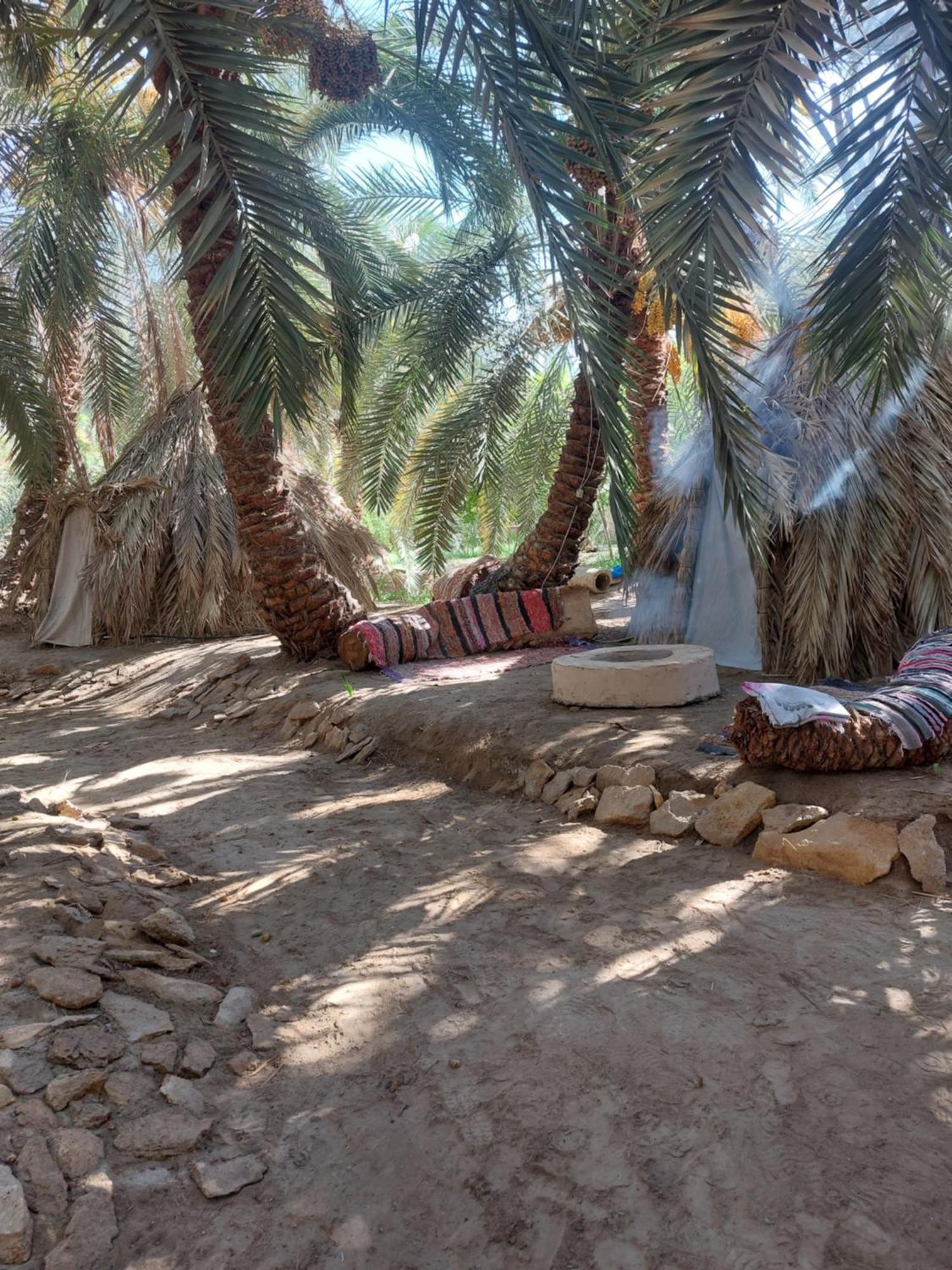 Forest Camp Siwa - كامب الغابة Siwa Oasis Exterior foto