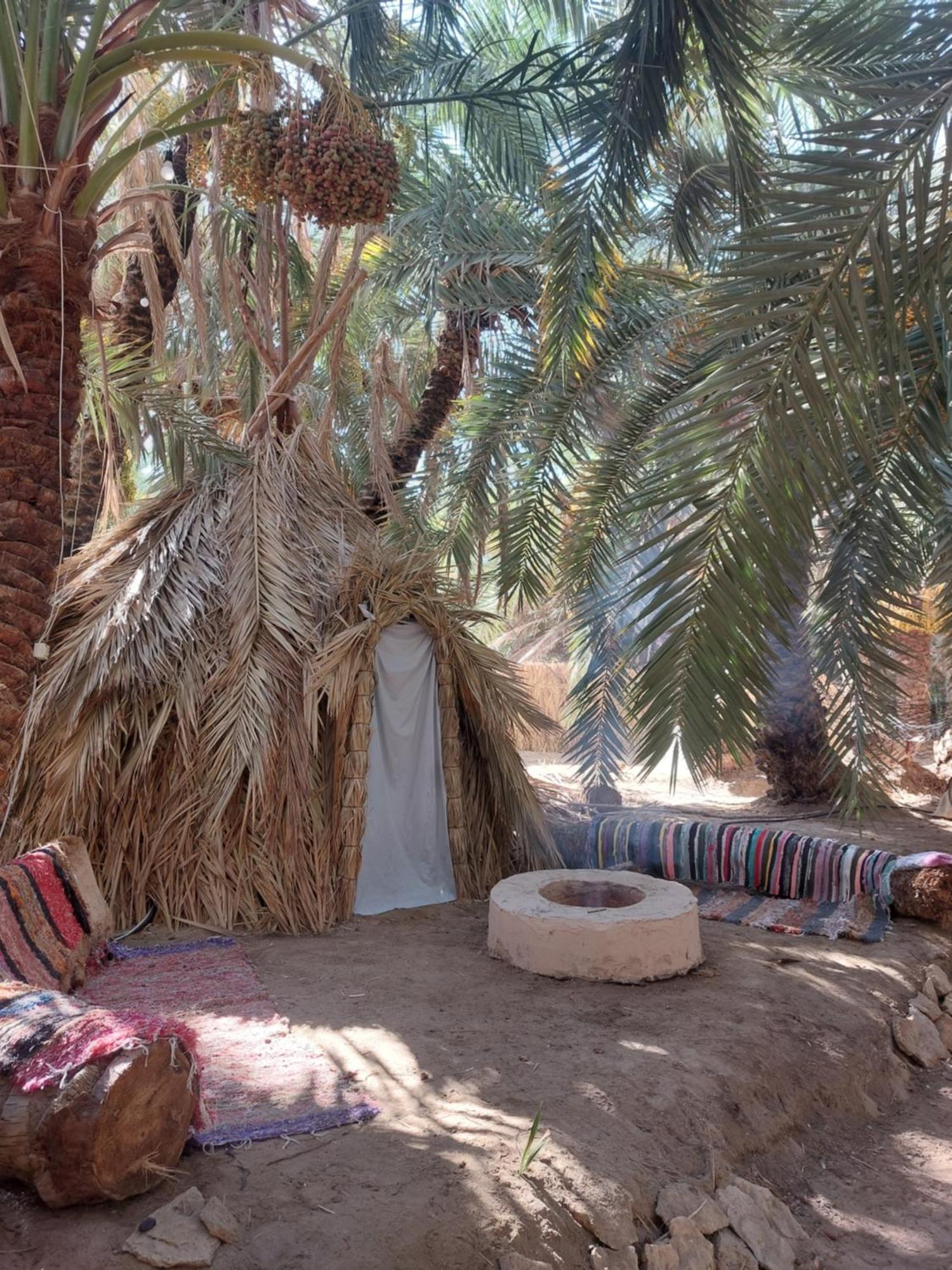 Forest Camp Siwa - كامب الغابة Siwa Oasis Exterior foto