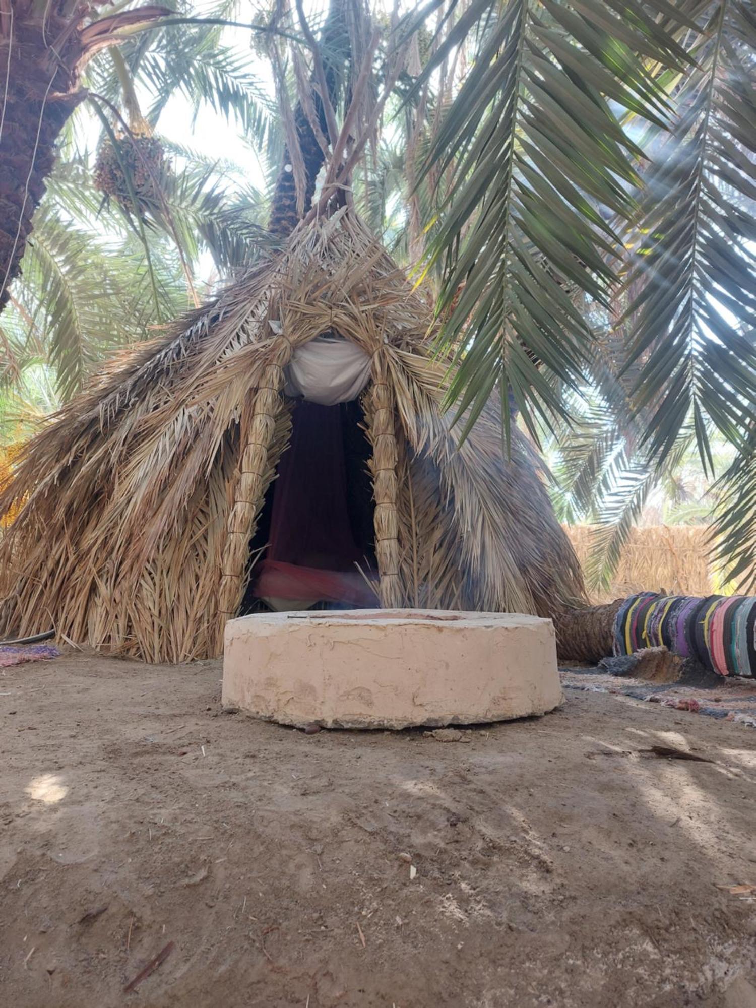 Forest Camp Siwa - كامب الغابة Siwa Oasis Exterior foto