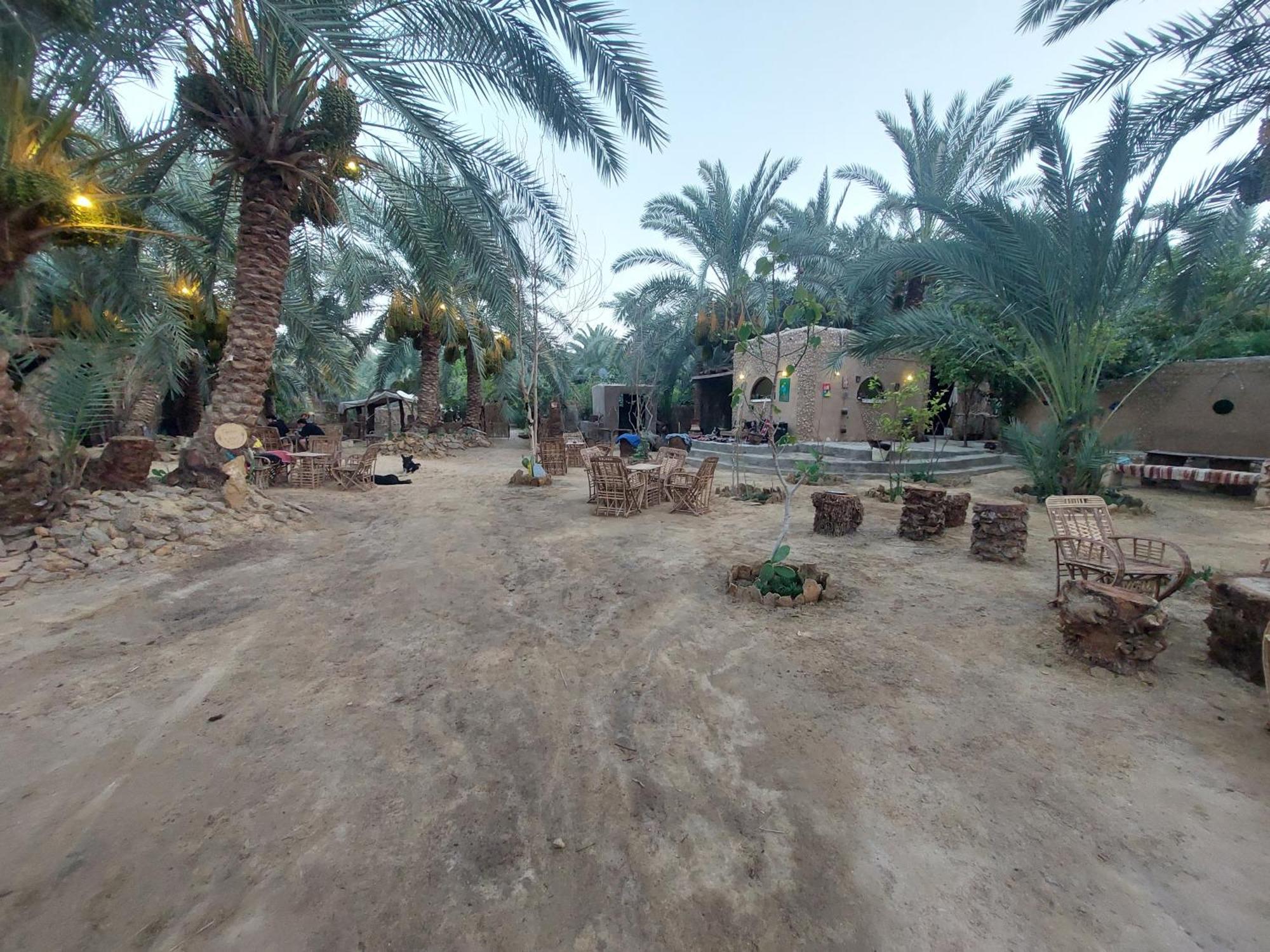 Forest Camp Siwa - كامب الغابة Siwa Oasis Exterior foto