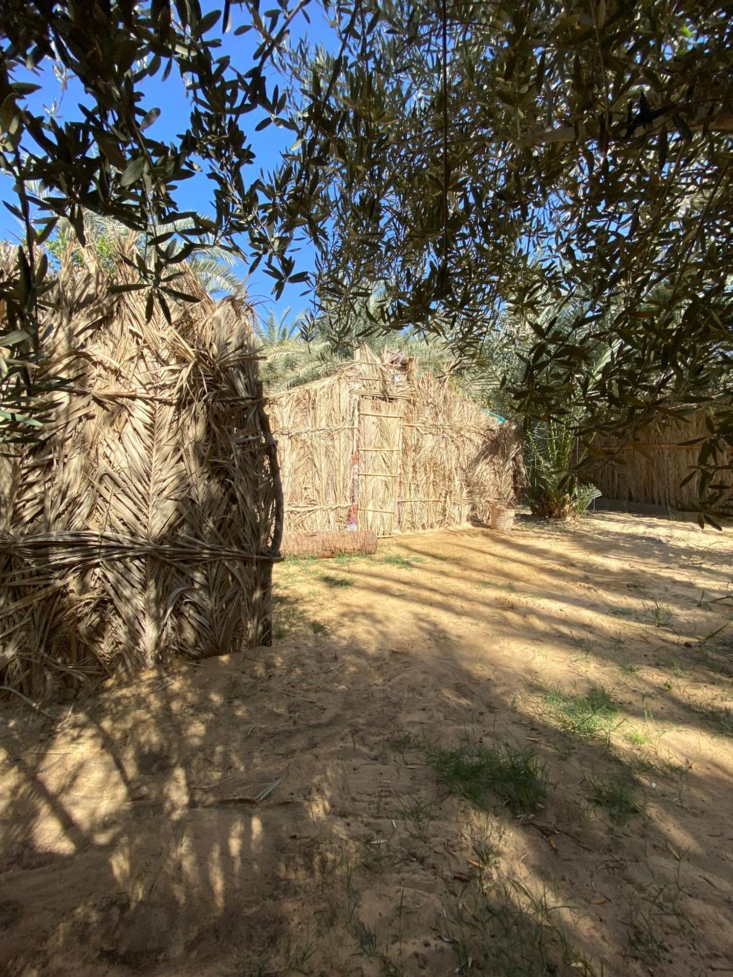 Forest Camp Siwa - كامب الغابة Siwa Oasis Exterior foto