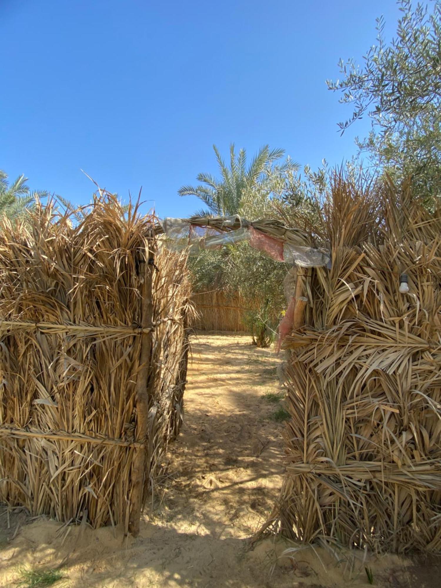 Forest Camp Siwa - كامب الغابة Siwa Oasis Exterior foto